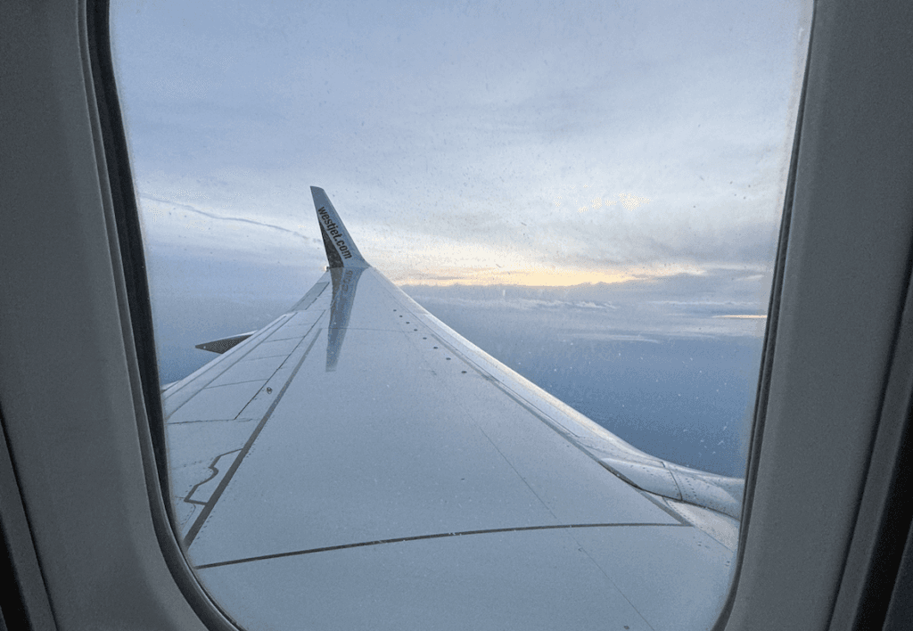 Airplane wing picture