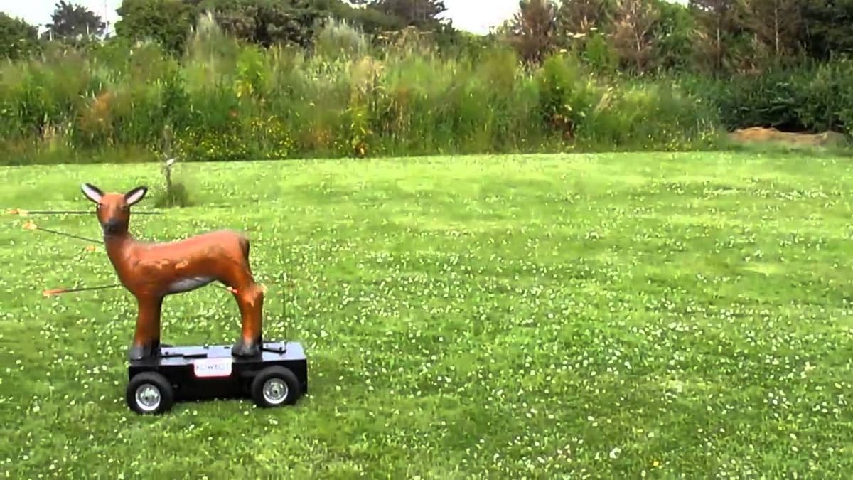 At Random: The Moving Target