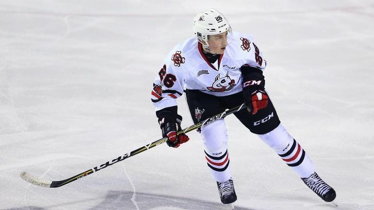 Cam Robinson's 2019 NHL Draft Rankings – April 2019 – DobberProspects