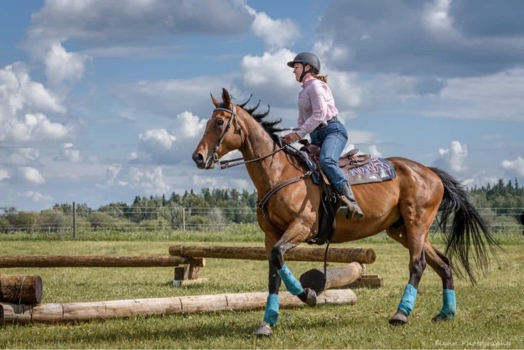 Women of Oilersnation