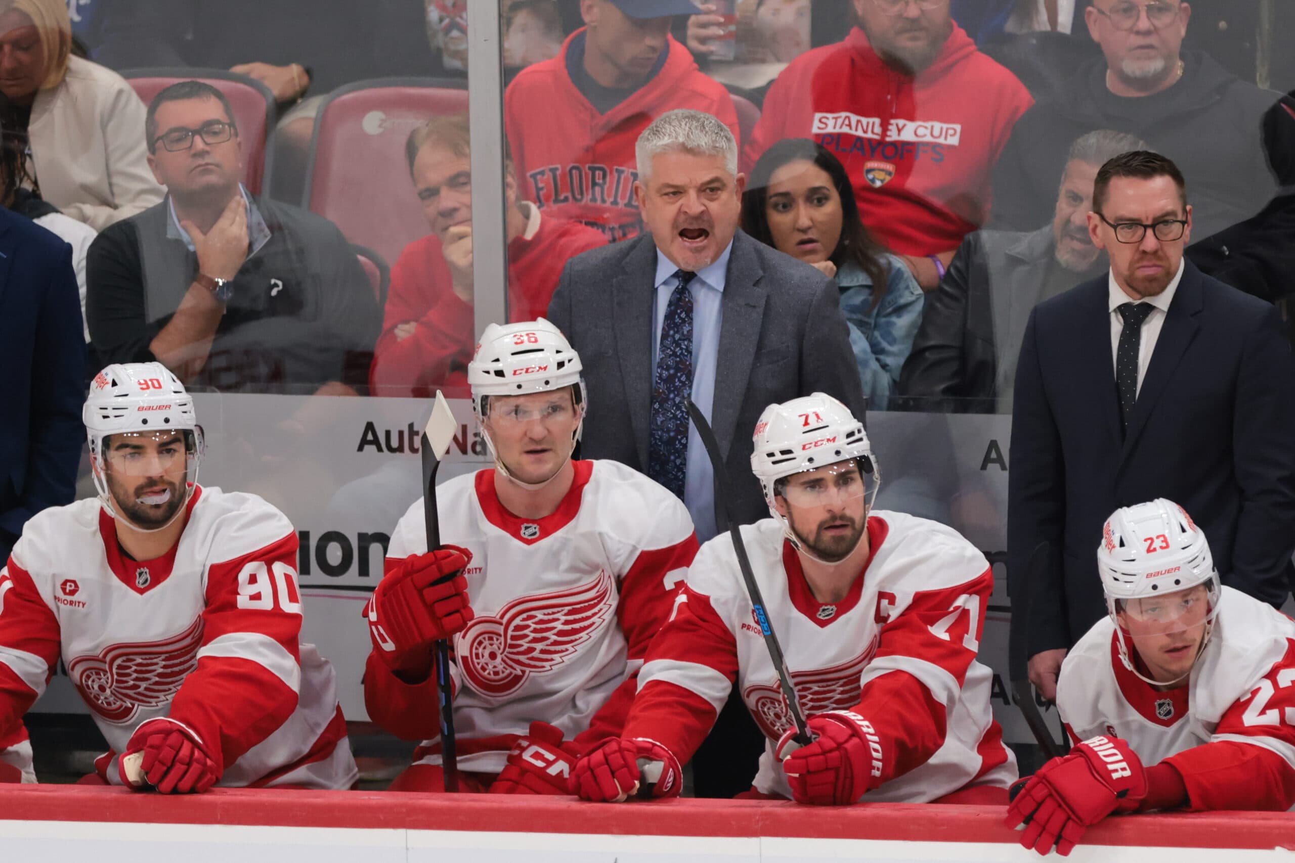 Detroit Red Wings Todd McLellan