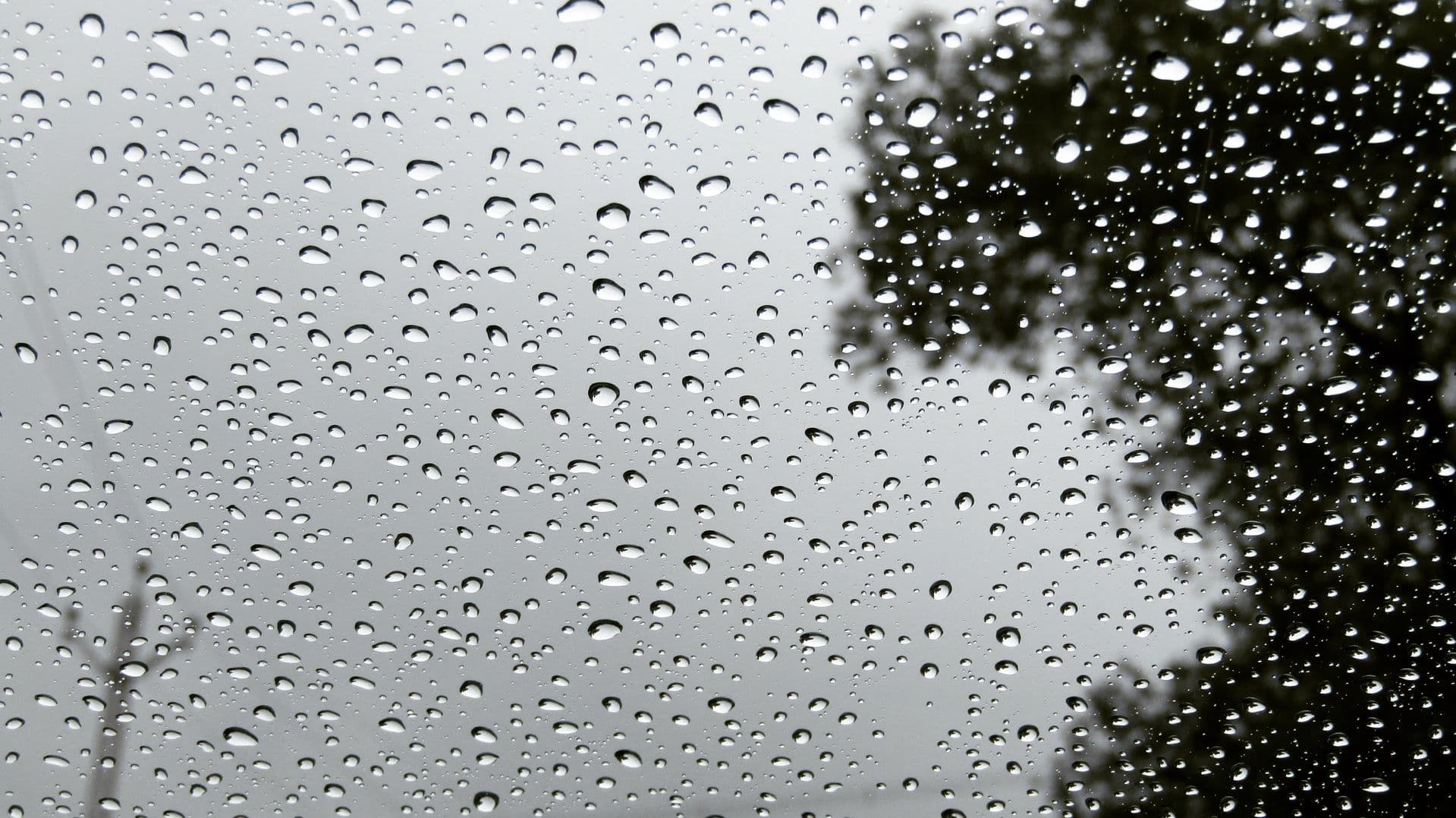 Downpour Rain