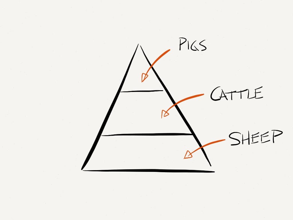 Some animals are more equal than others