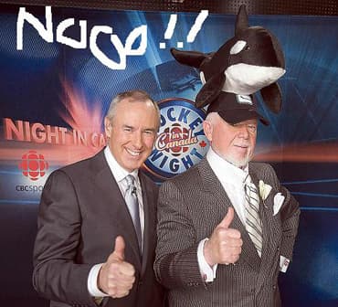 doncherry.jpg