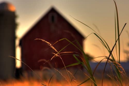 blurry-farm-house