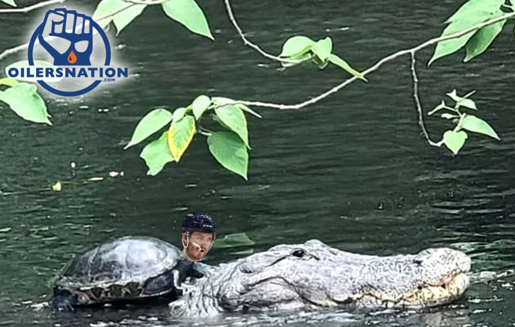 Matthew Tkachuk turtle photoshop