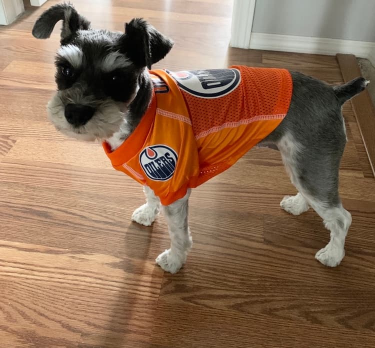 Women of Oilersnation